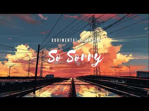 Vietsub | So Sorry - Rudimental ft. Skream | Lyrics Video