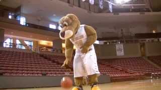 March Matchness at CofC