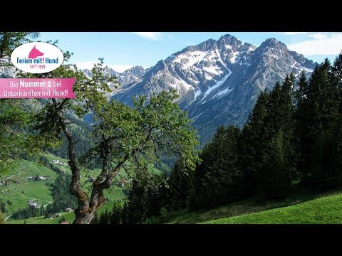 Urlaub im Kleinwalsertal mit Hund - Berge, Hütten und Ferienwohnungen