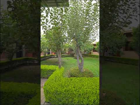 𝐂𝐀𝐒𝐀 𝐄𝐍 𝐕𝐄𝐍𝐓𝐀 𝐐𝐔𝐈𝐋𝐋𝐀𝐂𝐎𝐋𝐋𝐎 #casaenventa #cochabamba  #parati #foryoupage