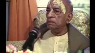 The Dog's Father Will Never Ask the Dog Child, Go to School. No. They are Dogs - Prabhupada 0956