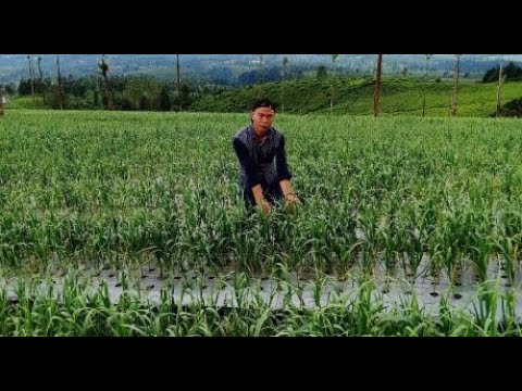 blog-left