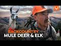 Backcountry Hunting With Llamas Cal In The Field
