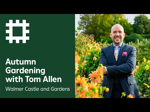 與湯姆-艾倫一起秋季園藝 肯特郡沃爾默城堡和花園 (Autumn Gardening with Tom Allen | Walmer Castle and Gardens, Kent)
