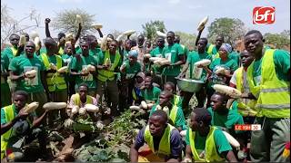 Agriculture : la 2e cohorte des VDP agricoles opérationnelle