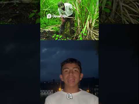 San José de Pare  Un Tesoro Escondido en Boyacá