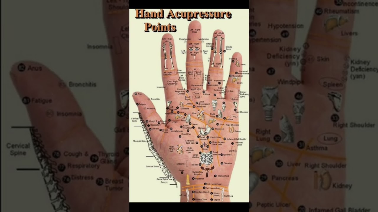 pressure points in hand . press in these points to get instant relief from pain #hand #pain