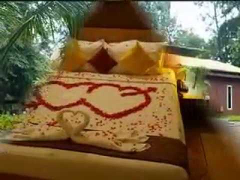 download lagu mp3 mp4 Sanda Wellbeing Ltd, download lagu Sanda Wellbeing Ltd gratis, unduh video klip Sanda Wellbeing Ltd
