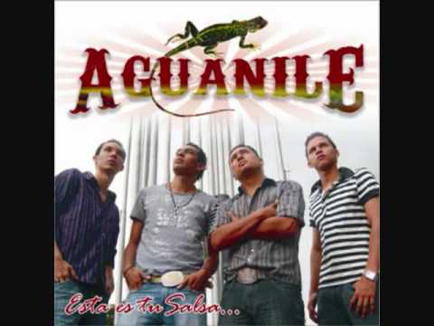 Vuelve conmigo- Aguanile salsa- YouTube.flv
