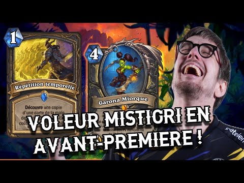 Le VRAI voleur voleur