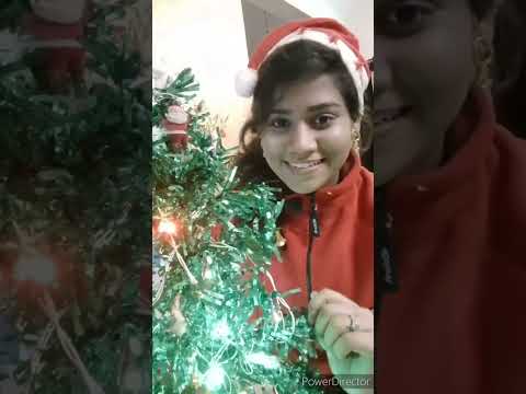 Cristmas Crafts and Decoration By Ritwika❤️#cristmas #craft #viral #trending #shorts