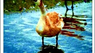 Jars of Clay &quot;Art in Me&quot; (photos by me)