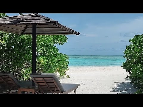 Videos del Cinnamon Hakuraa Huraa Maldives 4★ en Meemu Atoll, MaldivasVer MásVerPrecios20CerrarConsulta por Whatsapp 🇦🇷BookingTripadvisorExpediaAgodaTravelocityOrbitzPricelineTripSkyscannerDespegarKayakHotelesDestiniaTrivagoTurismocityLastminuteHotwireCheapticketsTuiWotif