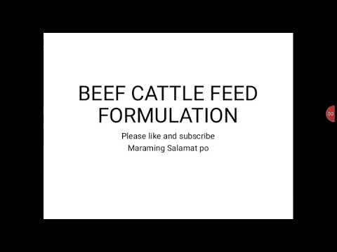 Beef Cattle Feed Formulation