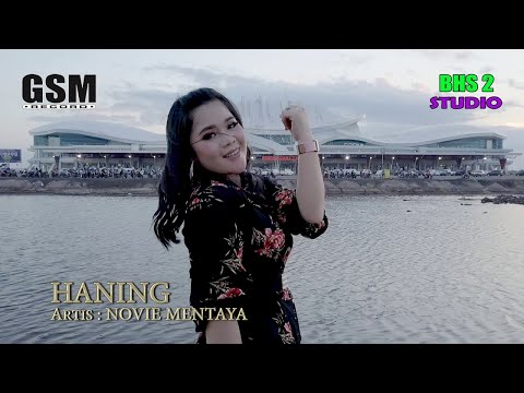 Dj Haning - Novie Mentaya I Official Lyric Video