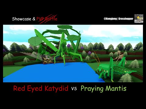 Katydid vs Mantis showcase & pvp - Build a boat for treasure
