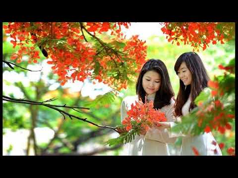 Trở về tuổi thơ Sheet - Bích Ngọc