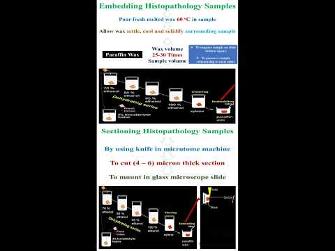 Embedding and Sectioning Histopathology Samples  #geneticteacher