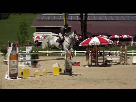 LEVINO (9yo Levisonn) 20.05.22 Isny - 2. Platz 🥈 SPR S** 145 cm