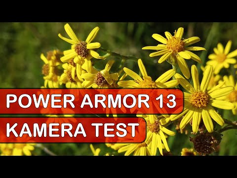 Ulefone Power Armor 13 Kamera Test