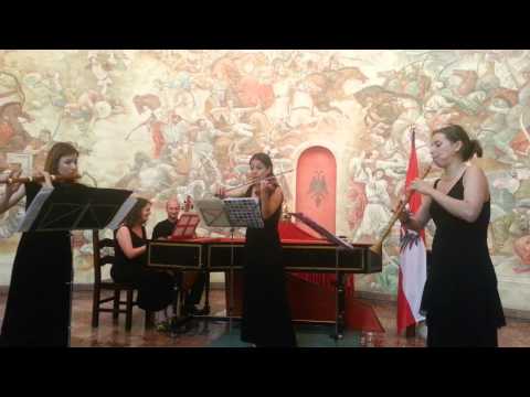 VOX Baroque 2015 - Barucco (AUSTRI)