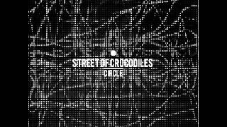 Street of Crocodiles - One Perfect Birch