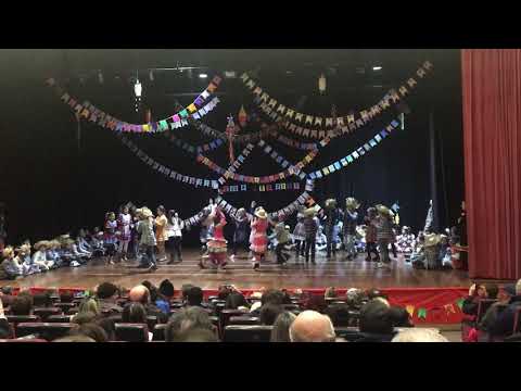 Apresentação de São João do Colégio São Carlos 06/07/2019