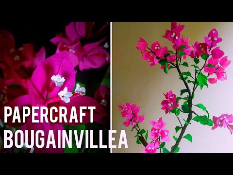 Thettiyil Crafts|Bougainvillea plant with crepe paper