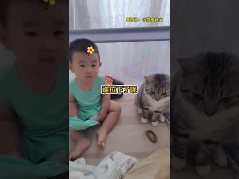 猫猫：咪的天，你终于闻到了#猫咪 #人类幼崽 #万万没想到 #搞笑 #shorts