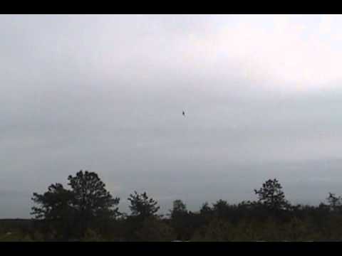Warren Grove Bombing Range (2-24-2011) - 2x A-10s
