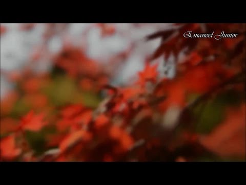 EMANOEL JUNIOR - NADA TEMEREI (cover)