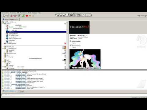 TS3pro.ru ejik ekb vs pff