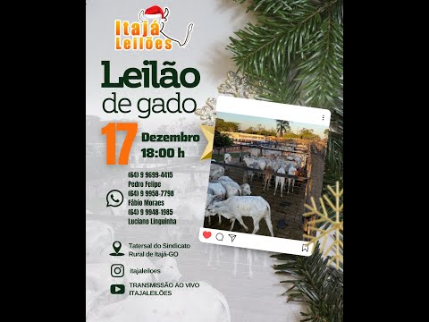 LEILÃO DA ITAJÁ LEILÕES