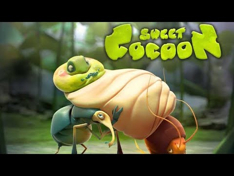 Sweet Cocoon - Film Kartun Animasi Anak Lucu 2019 HD