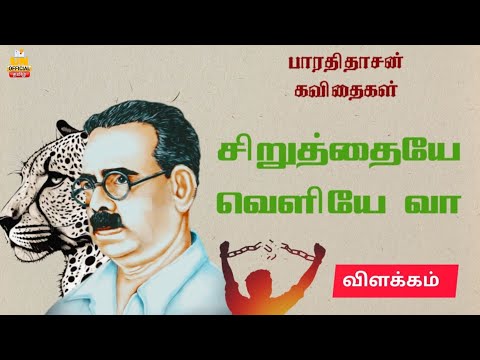 சிறுத்தையே வெளியில் வா | பாரதிதாசன் கவிதைகள் | தமிழ் நதி | UNofficial Tamil