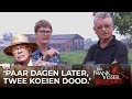 'Dus je denkt dat de buurman jullie koeien heeft vermoord?'': Mr. Frank Visser: Hoe is het nu met?