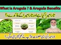 What Is Arugula Arugula Benefits Taramira Kia Hai Aur Taramira Ke Faidy