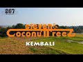 Steven & Coconuttreez Ft. Richard D Gilis - Kembali - (Official Lyric Video)