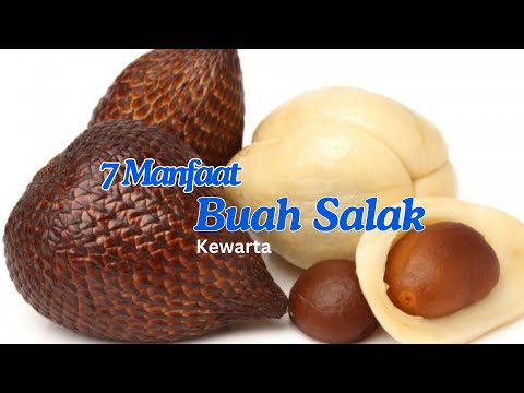 Thumbnail Video 1