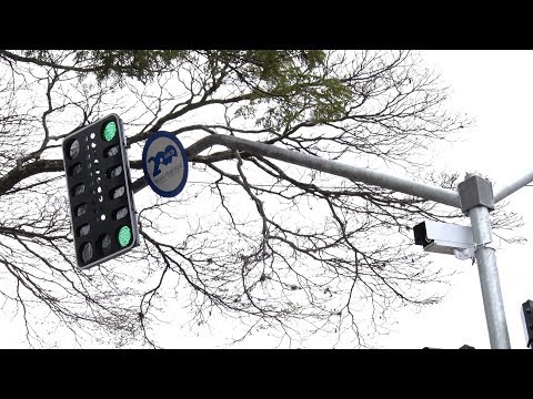 Conheça as regras dos novos semáforos em Nova Friburgo