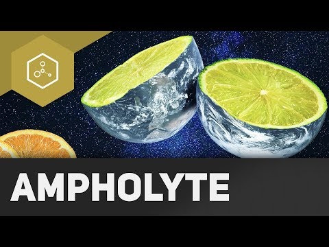 What are ampholytes?