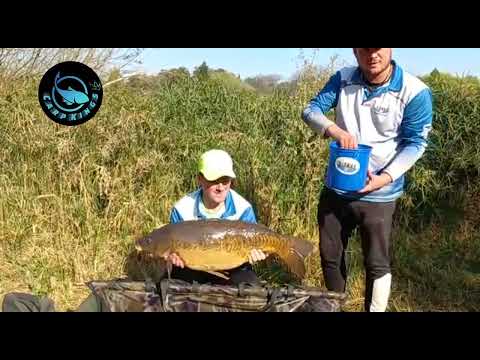 CARP KINGS - Dylon Bucket 10.6Kg