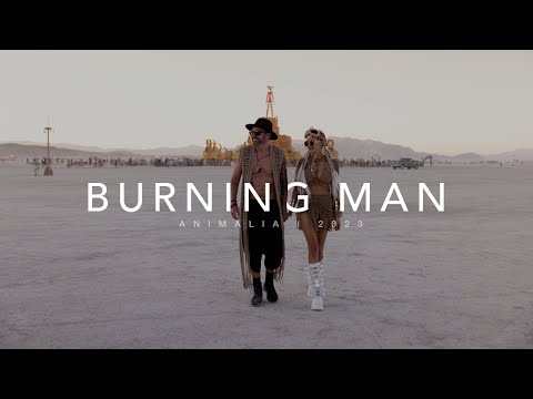 Burning Man 2023 | Cinematic Aftermovie & Highlights, incl. Man Burning (4k)