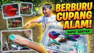 Download lagu BERBURU IKAN CUPANG ALAM! Dapat Banyak Spesies Unik di Rawa Tersembunyi! mp3