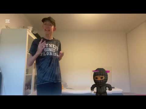 Ternet Ninja driller mig når jeg svarer på spørgsmål