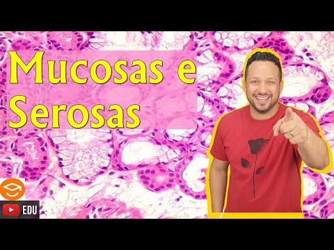 Mucosa and Serosa - Concepts and Examples - Body Linings - Epithelial Tissue