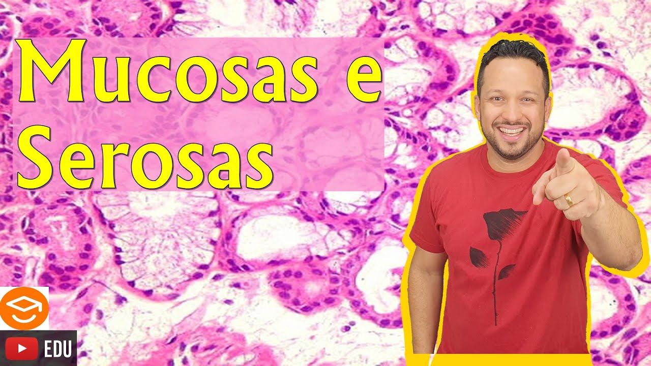 Mucosas e Serosas - Conceitos e Exemplos - Revestimentos do Corpo - Tecido Epitelial