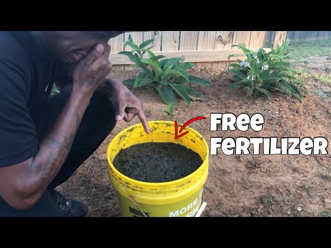 How to Make your Own Fertilizer