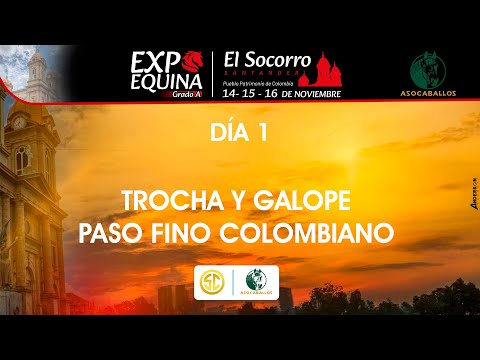 EXPOSICION EQUINA GRADO "A" SOCORRO SANTANDER 2025 - TROCHA Y GALOPE - PASO FINO COLOMBIANO