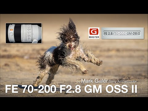 Sony FE 70-200 F2.8 GM OSS II Lens Review
